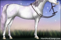 Horse Color:Watercolor White Spotted Chocolate Palomino Ice Pearl Splash Rabicano 