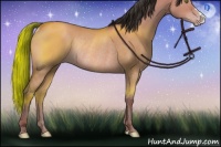 Horse Color:Sable Champagne Dun Rabicano 