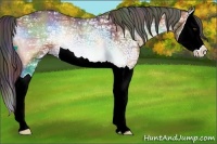 Horse Color:Nacre Liver Red Onyx Ice Splash Rabicano 