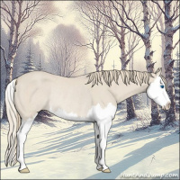 Horse Color:Smoky Creme Roan Splash Rabicano 