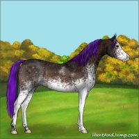 Horse Color:Painted White Spotted Bay Ice