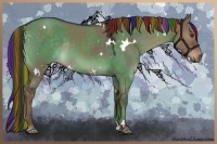 Horse Color:Painted White Spotted Liver Red Dun Rabicano 