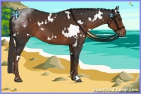 Horse Color:White Spotted Liver Chestnut 