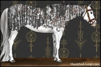 Horse Color:Silver Brown Sabino and Black Splash