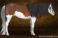 Horse Color:Brown Splash 