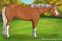 Horse Color:White Spotted Silver Bay