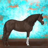 Horse Color:Liver Chestnut 