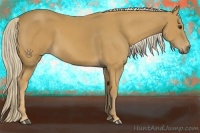 Horse Color:Palomino 