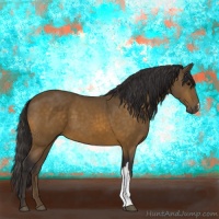 Horse Color:Buckskin 