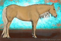 Horse Color:Palomino 