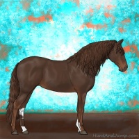 Horse Color:Liver Chestnut 