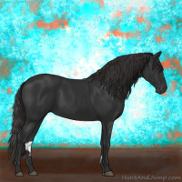 Horse Color:Gray Liver Chestnut 