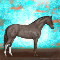 Horse Color:Liver Red Roan 