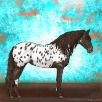 Horse Color:Liver Chestnut Appaloosa 