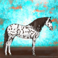 Horse Color:Liver Chestnut Appaloosa 