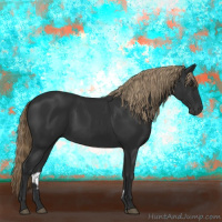 Horse Color:Gray Liver Chestnut