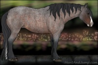 Horse Color:Brown Roan Splash 