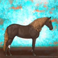 Horse Color:Liver Chestnut 