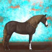 Horse Color:Liver Chestnut 