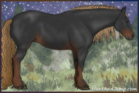 Horse Color:Gray Liver Chestnut