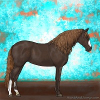 Horse Color:Liver Chestnut 
