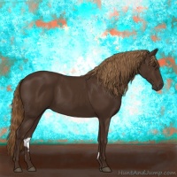 Horse Color:Liver Chestnut 
