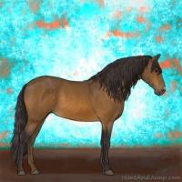 Horse Color:Buckskin 