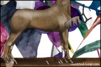 Horse Color:Chocolate Palomino 
