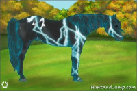 Horse Color:Gray Thunderstruck Black Appaloosa 