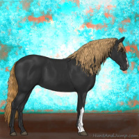 Horse Color:Gray Liver Chestnut