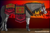 Horse Color:Grullo Sabino Splash  and Grullo Sabino Splash 