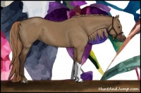 Horse Color:Liver Red Dun 