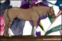 Horse Color:Liver Red Dun