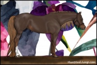 Horse Color:Liver Chestnut 