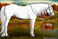 Horse Color:Gray Liver Chestnut 