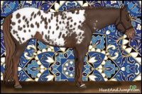 Horse Color:Liver Chestnut Appaloosa