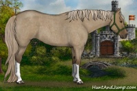 Horse Color:Chocolate Palomino Roan Dun 