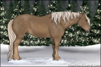 Horse Color:Chocolate Palomino