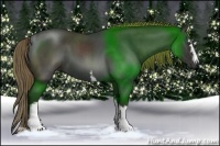 Horse Color:White Spotted Liver Red Roan 