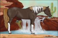 Horse Color:Liver Chestnut Tobiano 