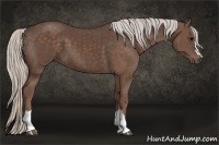 Horse Color:Silver Black 