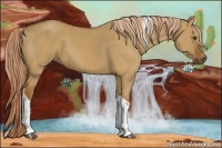 Horse Color:Red Dun Tobiano