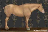 Horse Color:Gray Gold Cream Champagne 