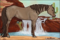 Horse Color:Liver Red Dun