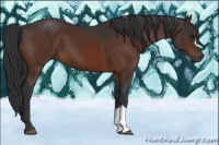 Horse Color:Brown 