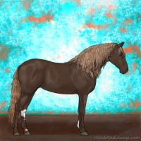 Horse Color:Liver Chestnut 