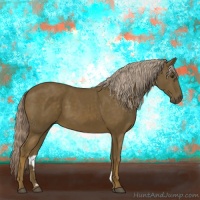 Horse Color:Chocolate Palomino 