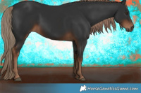 Horse Color:Gray Liver Chestnut 