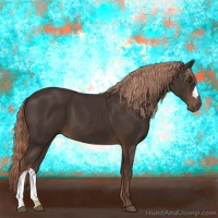 Horse Color:Liver Chestnut 