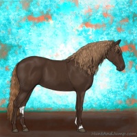 Horse Color:Liver Chestnut 
